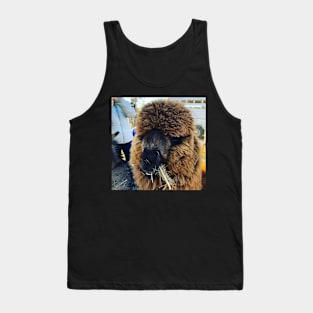 alpaca Tank Top